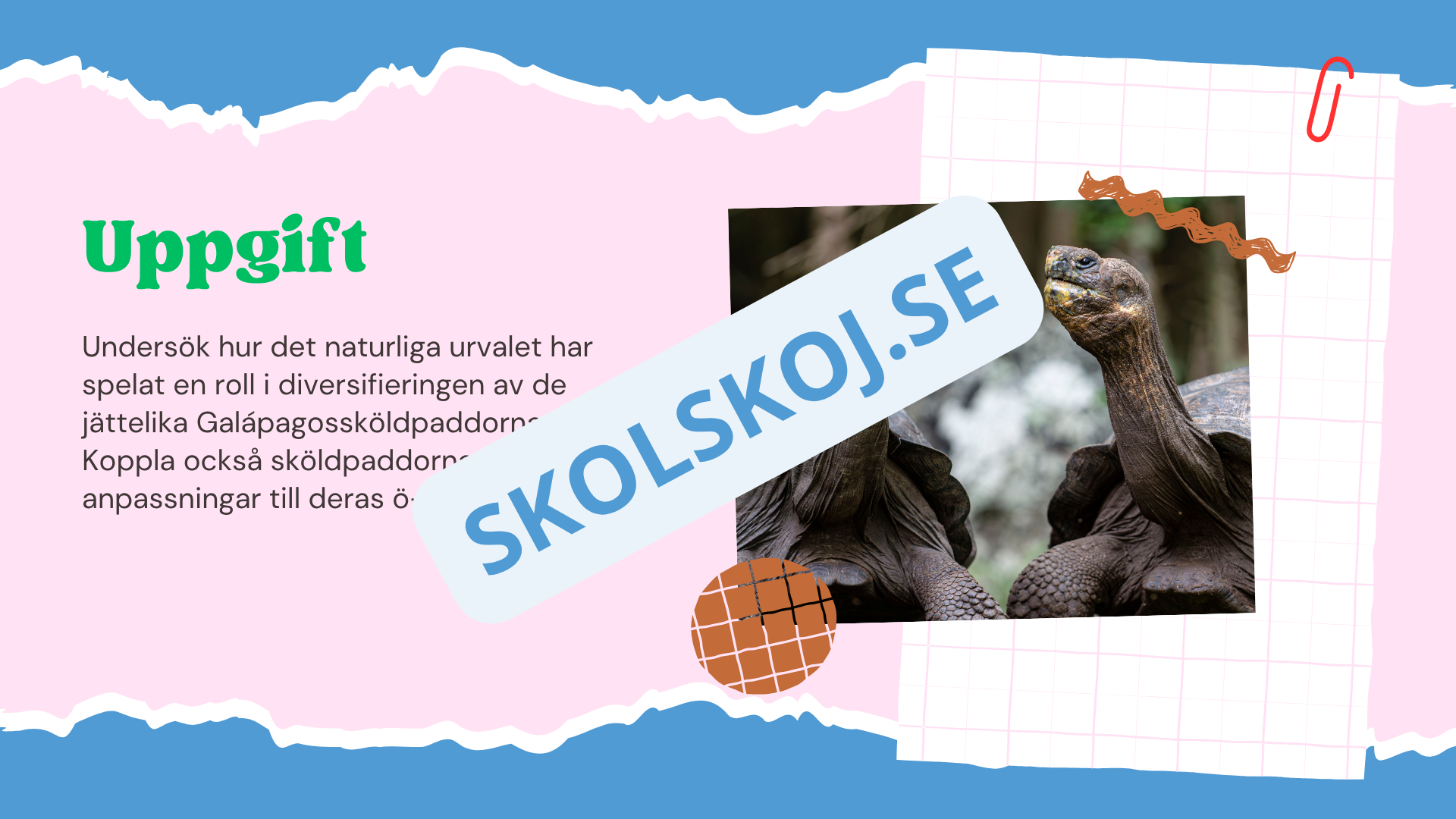 Evolution - Bevisen för hur livet förändras - Årskurs 7 - 9