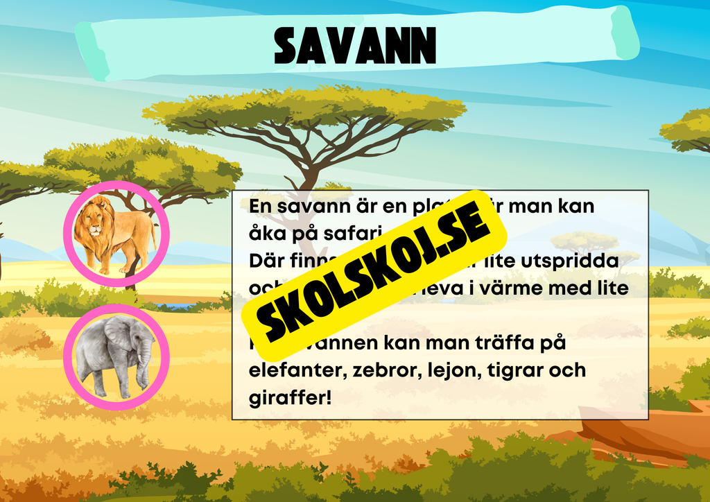Kort fakta om naturmiljöer och djurens hem + frågor