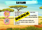 Kort fakta om naturmiljöer och djurens hem + frågor