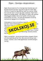 Sveriges landskapsdjur - Häfte - Årskurs 4 - 6 (17 sidor)