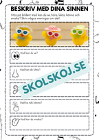 Beskriv med dina sinnen