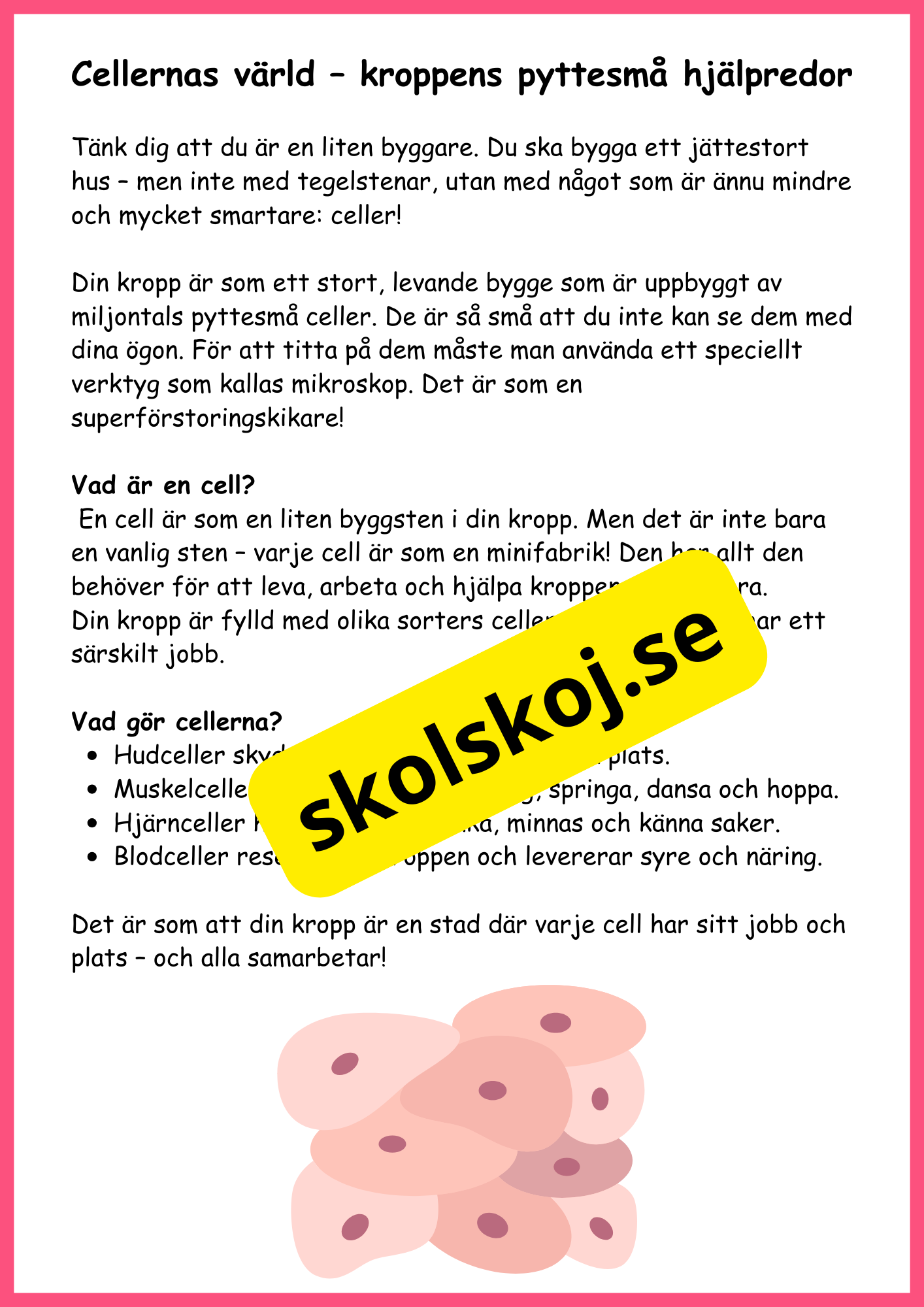 Utforska kroppen från topp till tå - Fakta + frågor - Årskurs 4 - 6
