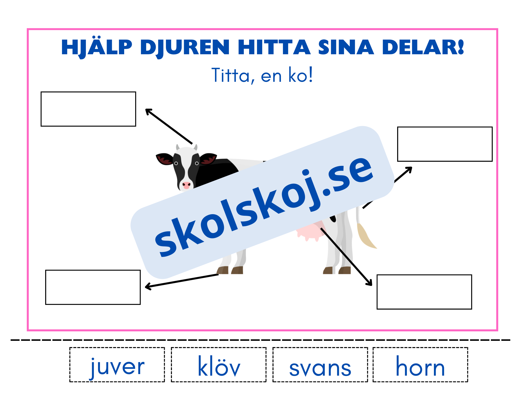 Hjälp djuren hitta sina delar - Häfte