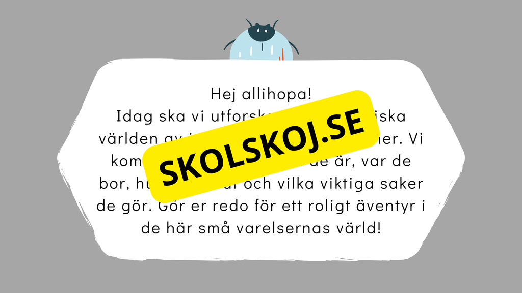 Upptäck insekternas värld - Häfte