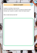 Lilla boken om viktiga insekter - Årskurs 2 - 4
