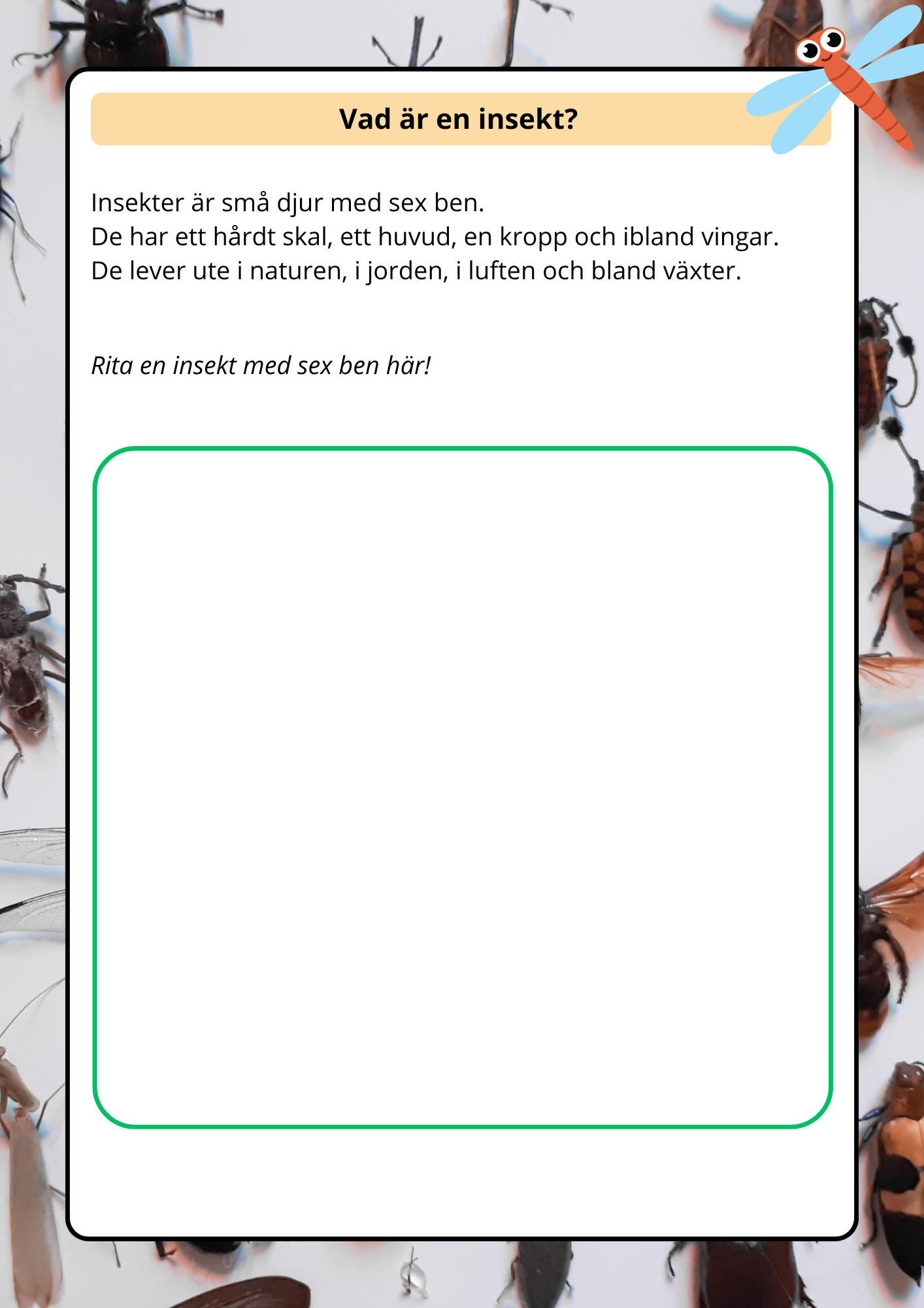 Lilla boken om viktiga insekter - Årskurs 2 - 4