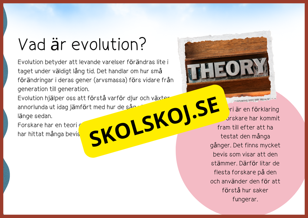 Evolution - Faktatext + frågor