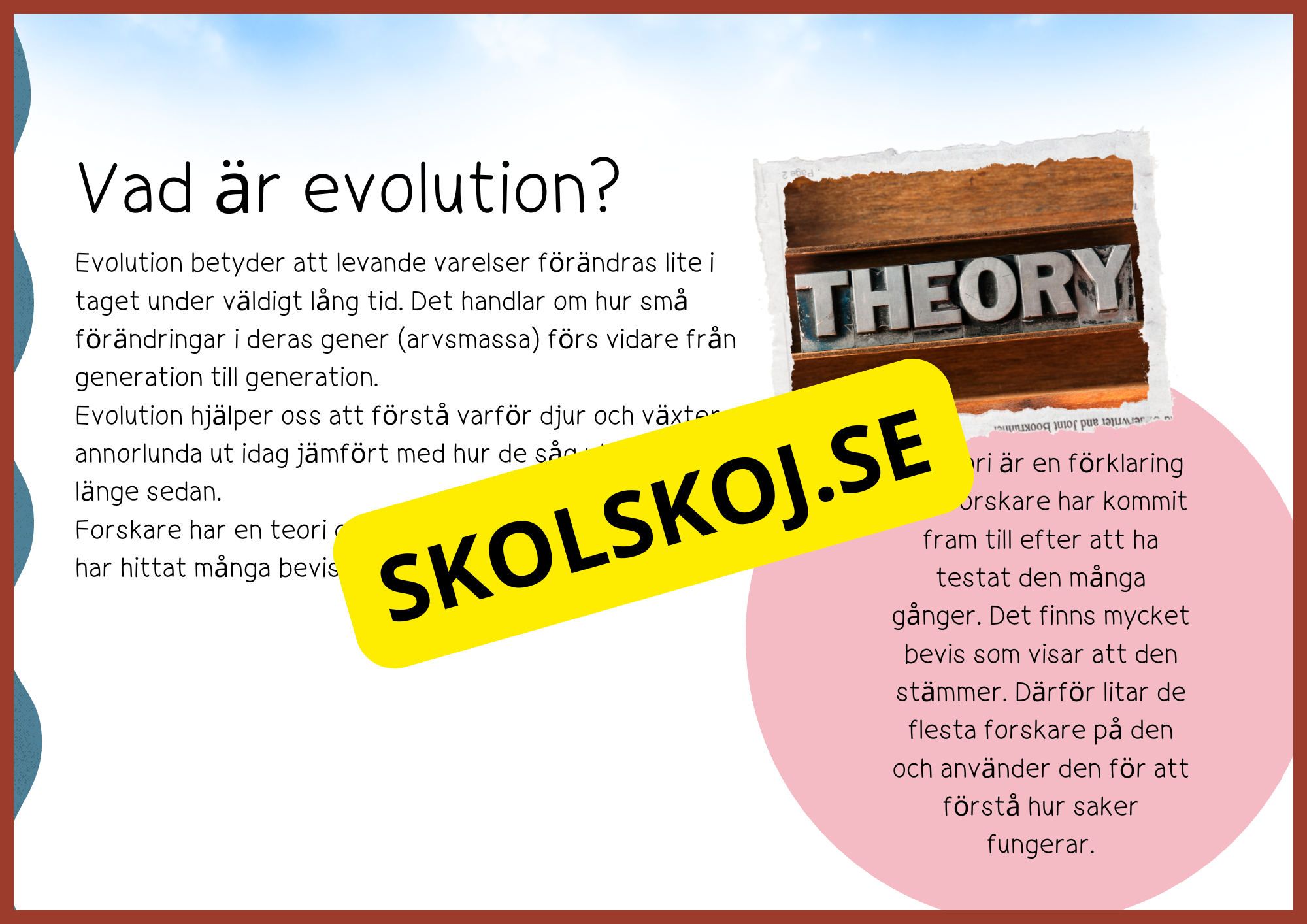Evolution - Faktatext + frågor