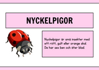 Nyckelpigans livscykel + Uppgifter - Årskurs 1 - 2