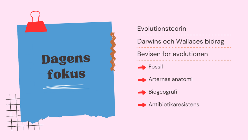 Evolution - Bevisen för hur livet förändras - Årskurs 7 - 9