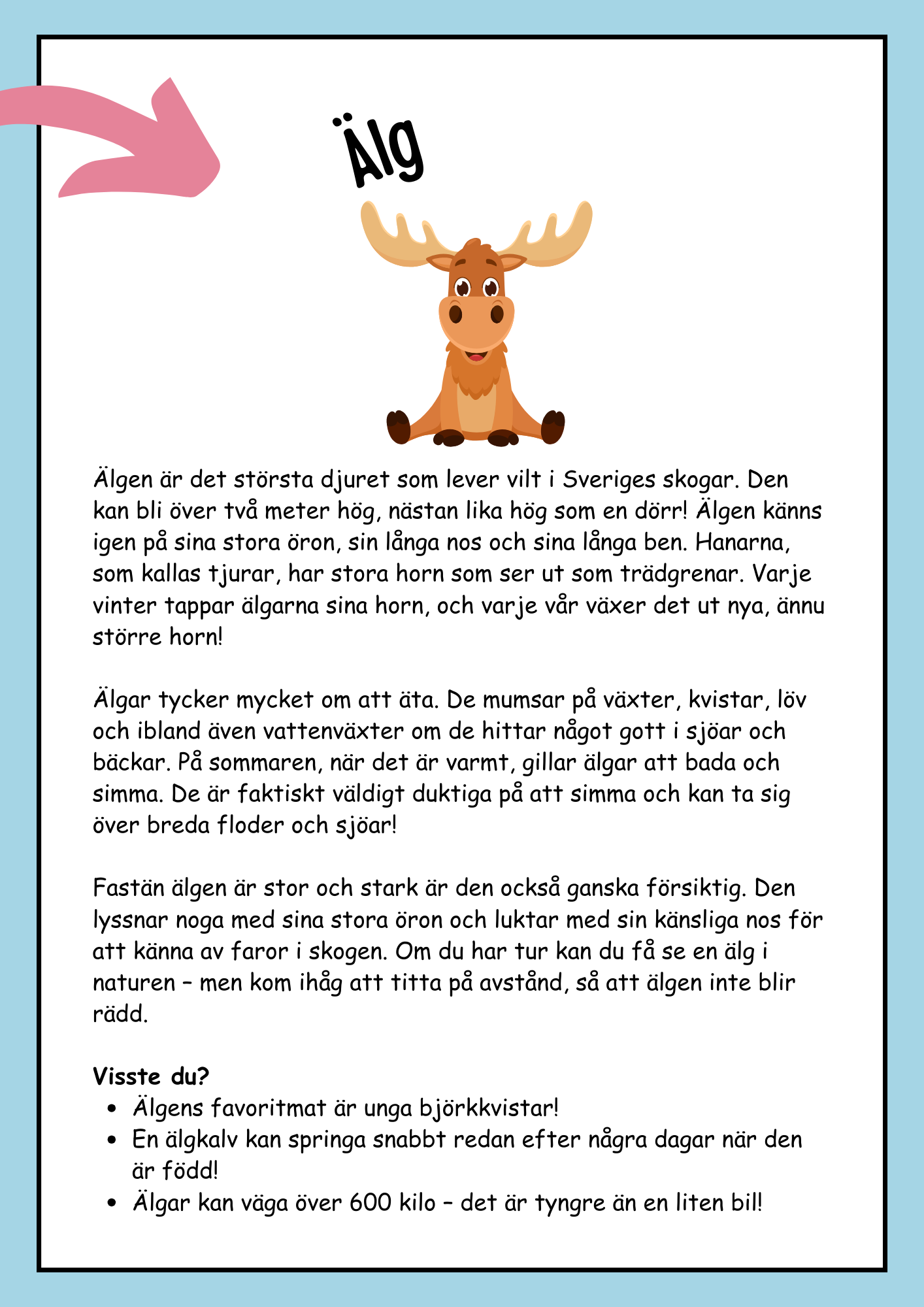 Skogens djur - Fakta och läsförståelse (19 sidor)