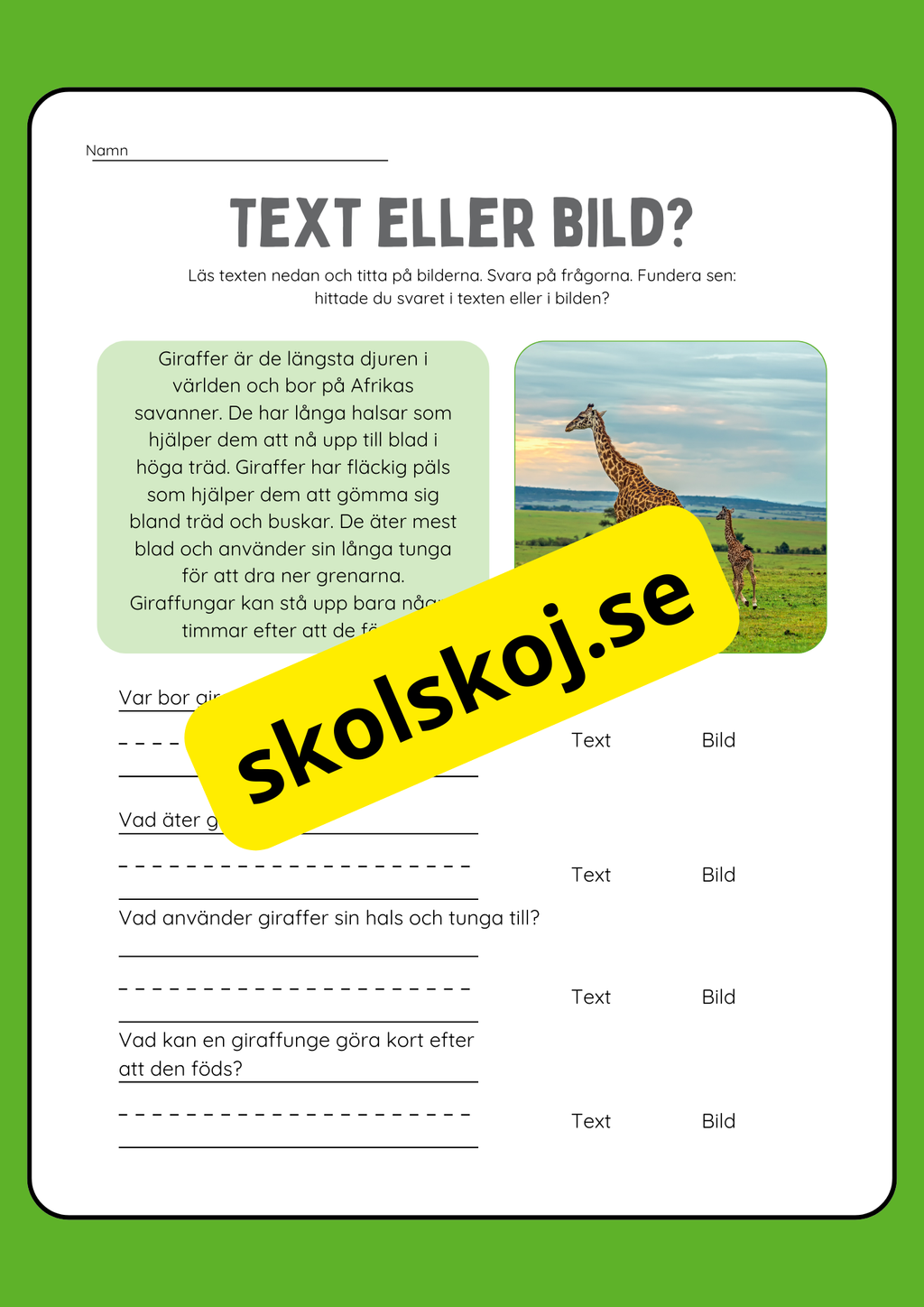 Text eller bild - Läsförståelse