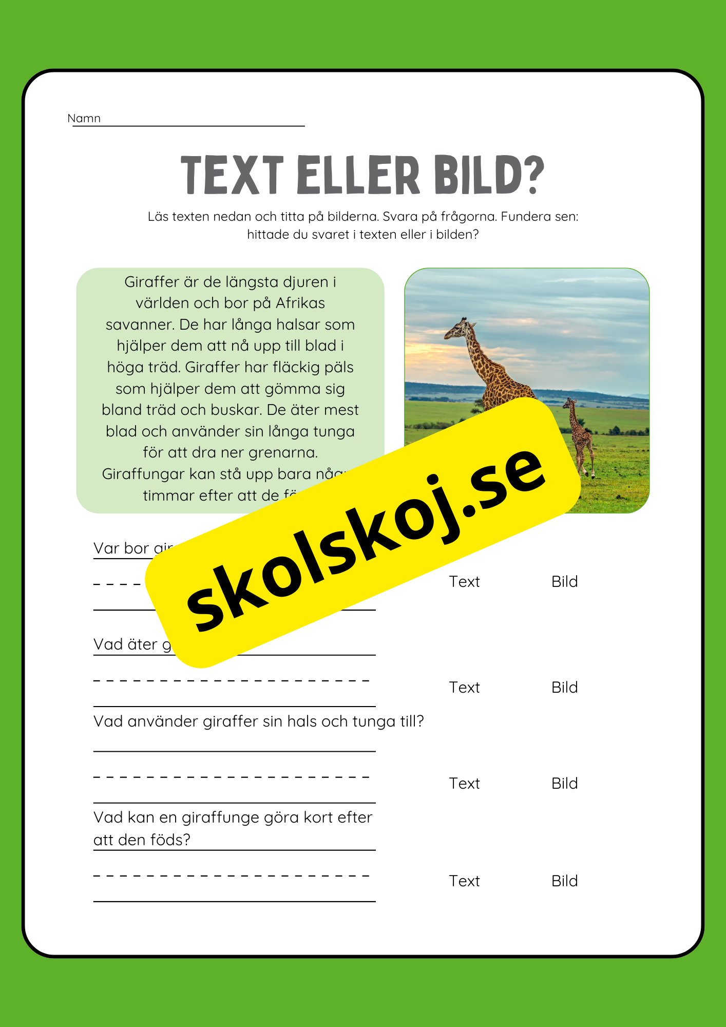 Text eller bild - Läsförståelse