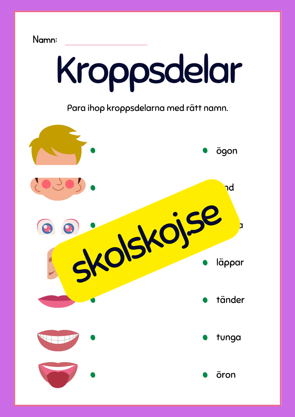 Kroppsdelar – vad heter de - Häfte
