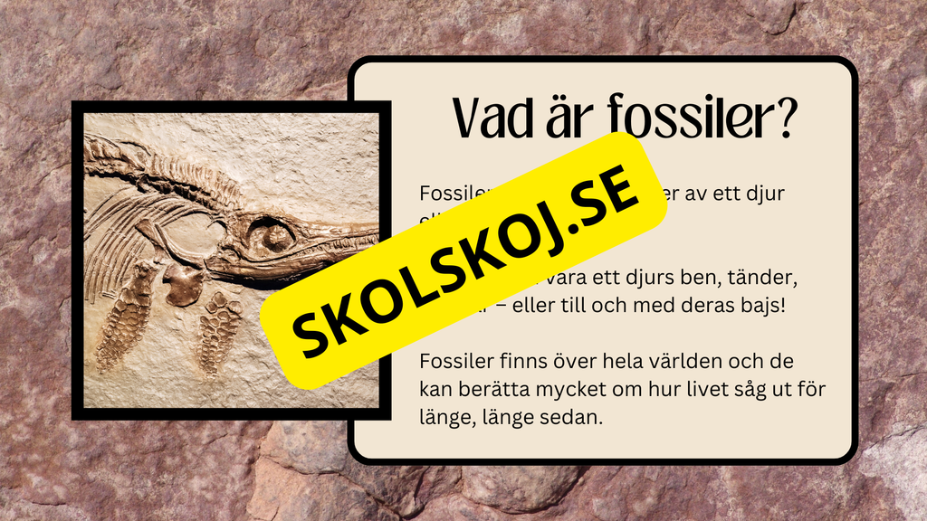 Fossiler - Åk 4 - 9