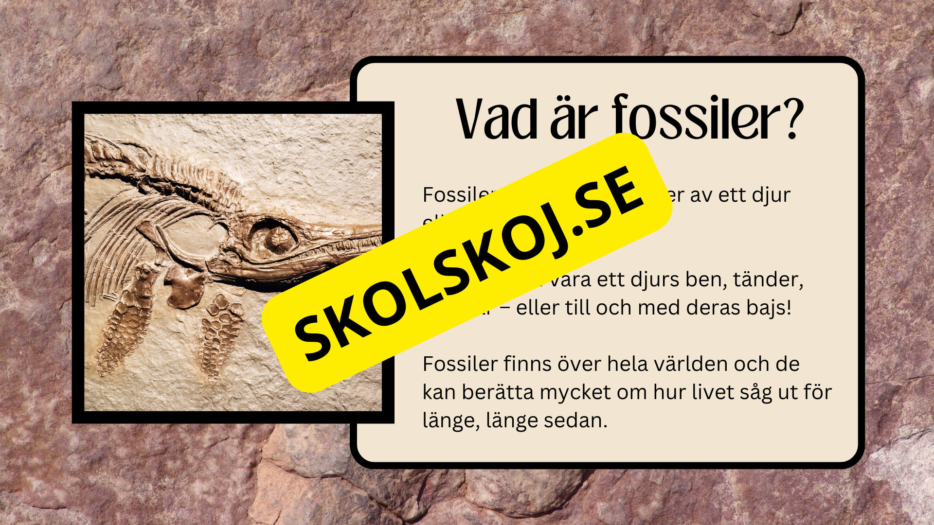 Fossiler - Åk 4 - 9