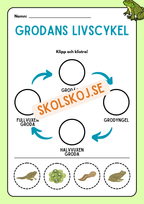 Livscykler - Klipp och klistra
