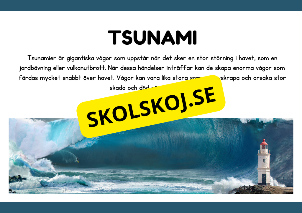 Naturliga katastrofer - Läsförståelse