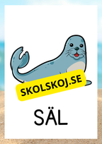 Havsdjur - Bildkort