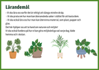 Minska Återanvänd Återvinn - Fakta + frågor