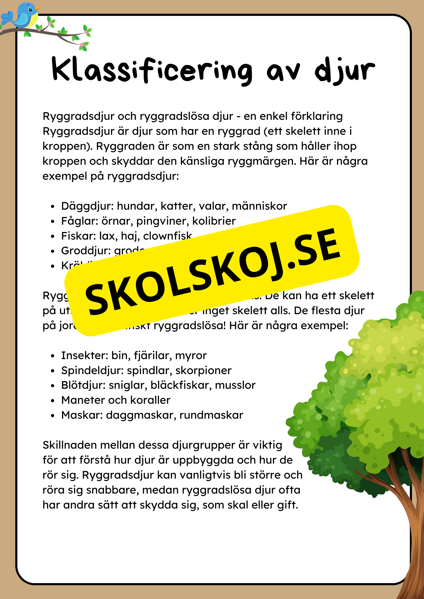 Klassificering av djur - Fakta och uppgifter - Åk 3 - 6