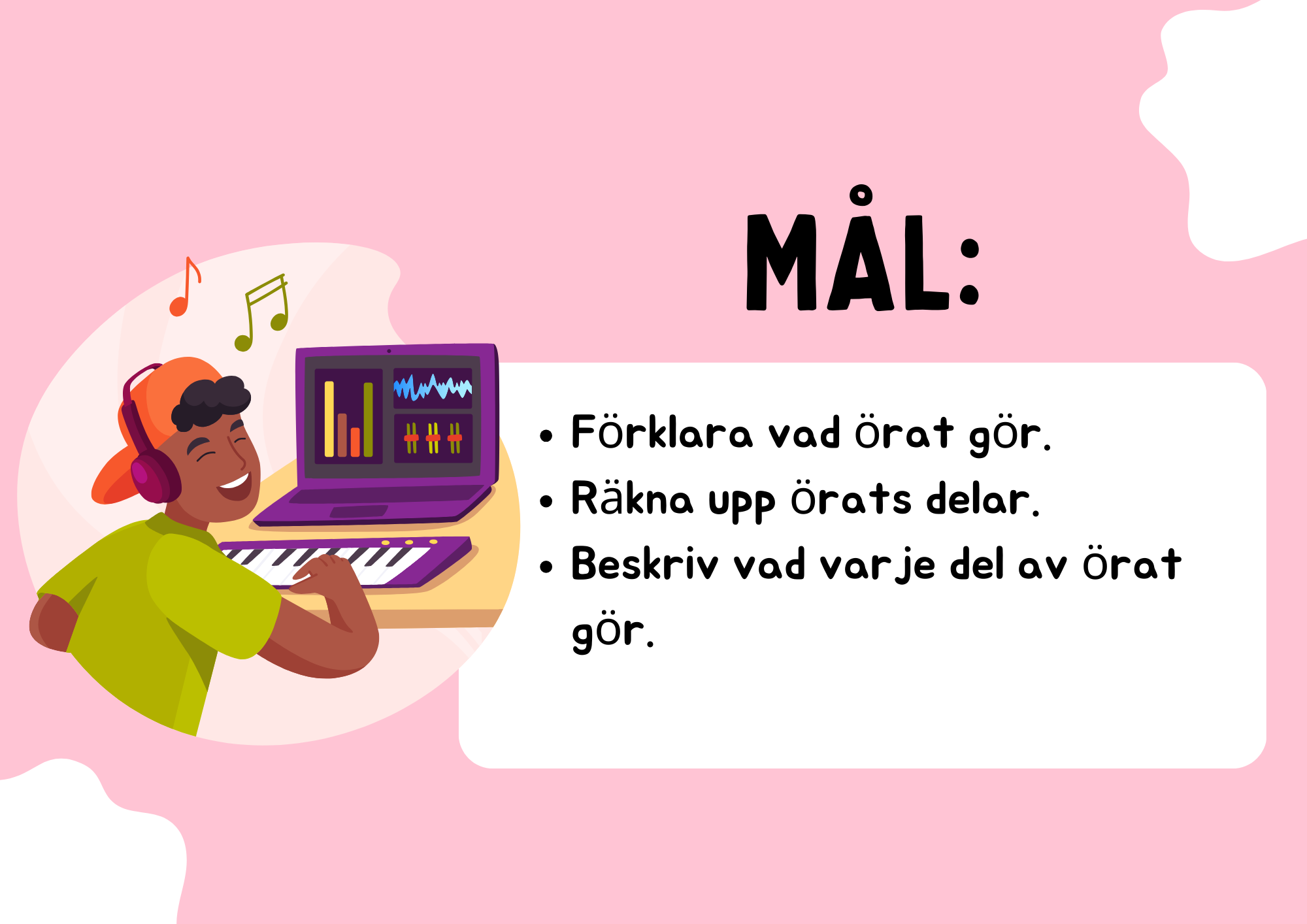 Örats delar - Presentation + Frågor