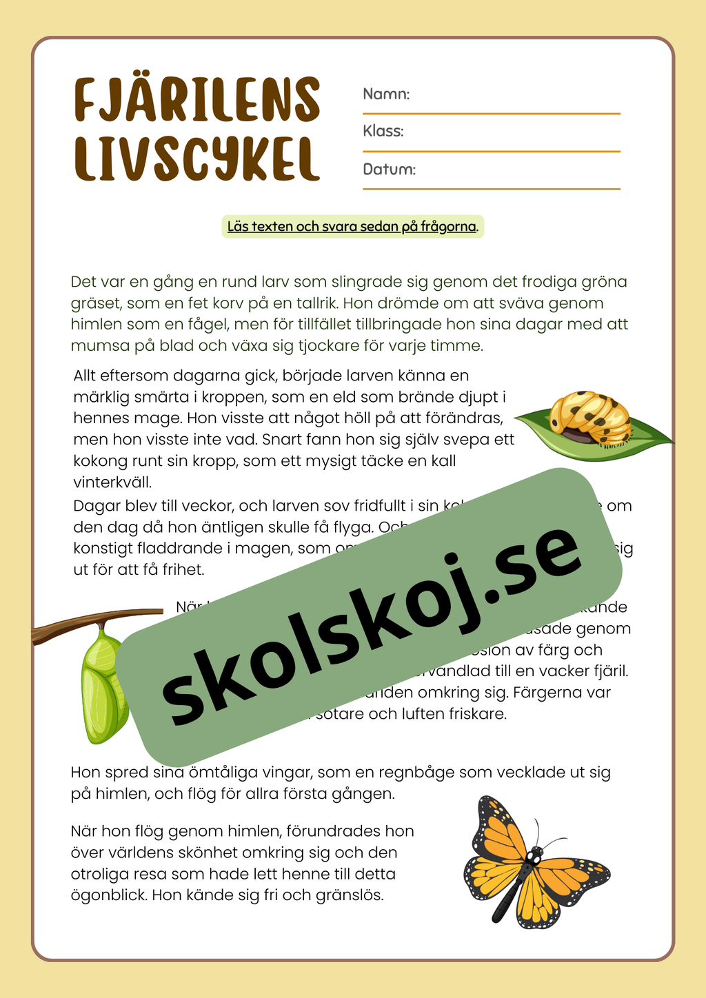 Fjärilens livscykel och förvandling