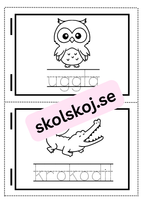 Min skrivbok - Minibok - 40 sidor