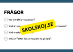 Naturliga katastrofer - Läsförståelse