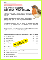 Djurens värld – Läs och lär