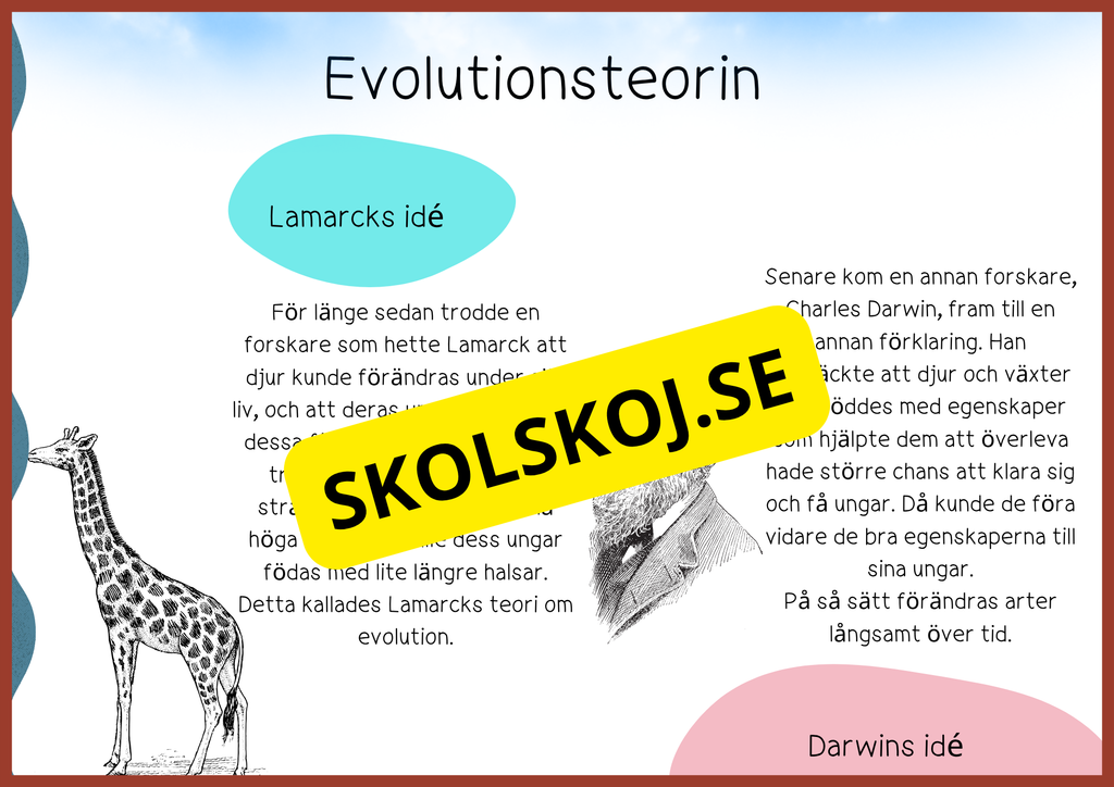 Evolution - Faktatext + frågor