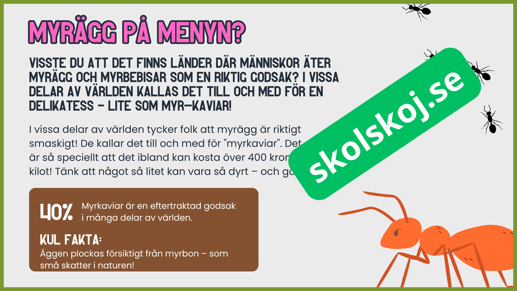 7 superroliga saker du inte visste om myror