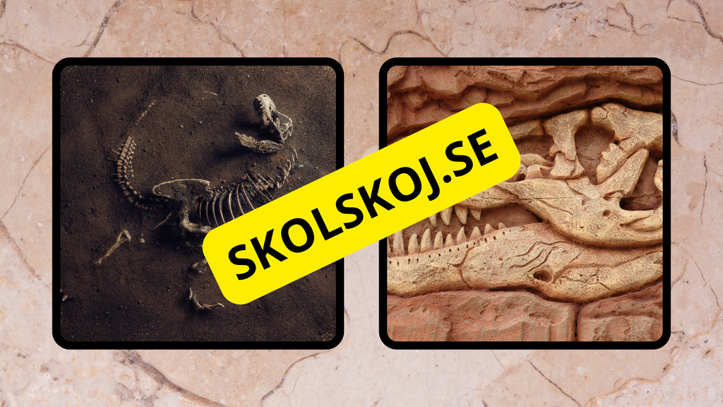 Fossiler - Åk 4 - 9