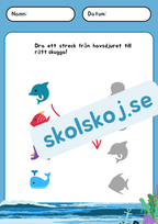 Under havet - Förskola - Förskoleklass - Blandade uppgifter