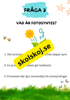 Tipspromenad - Årskurs 5 - Skolstart