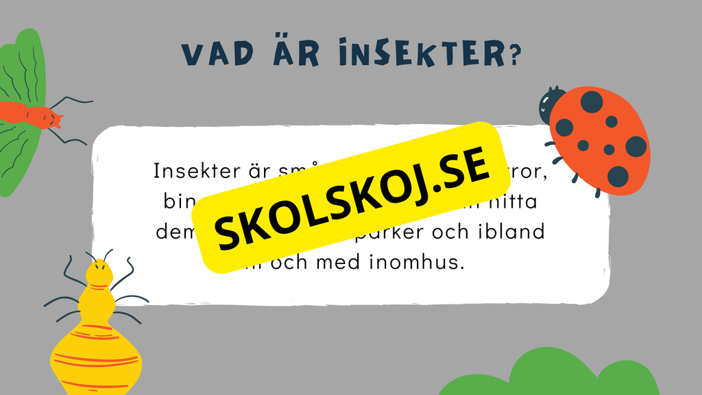 Upptäck insekternas värld - Häfte