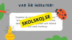 Upptäck insekternas värld - Häfte