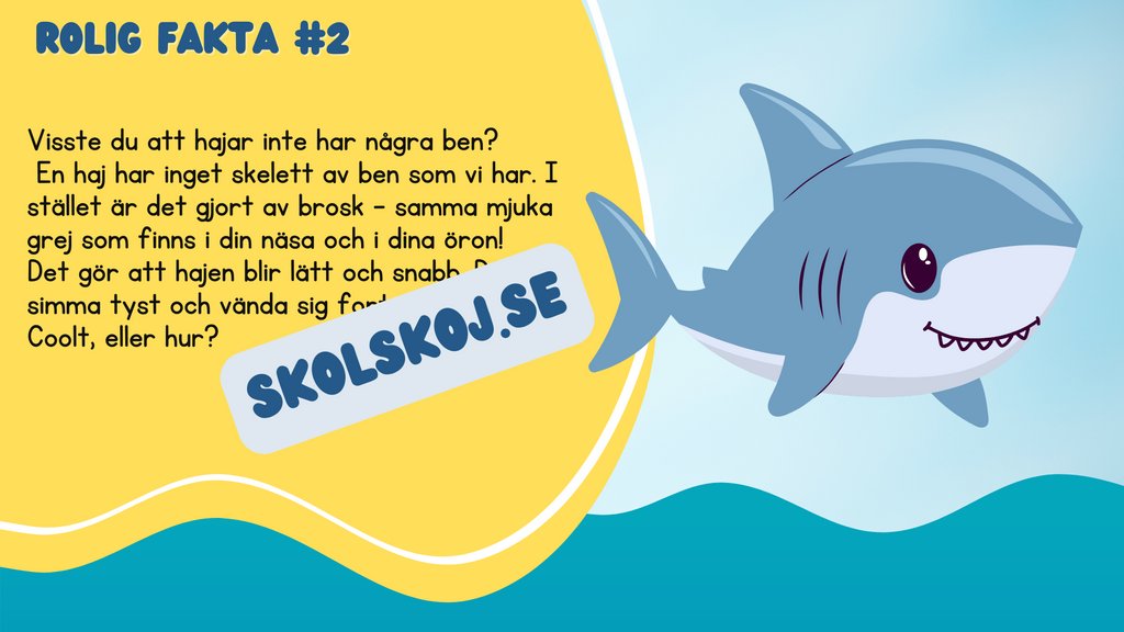 Roliga havsdjursfakta + roliga uppgifter