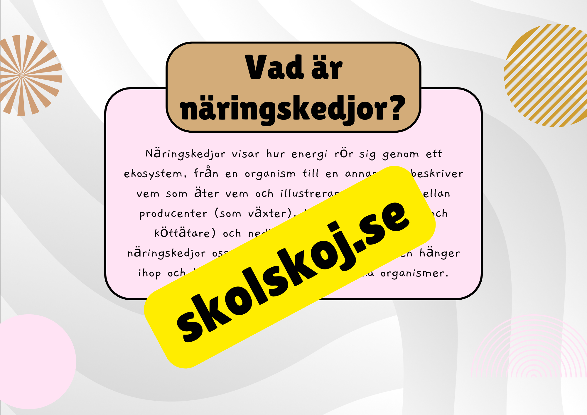 Näringskedjor - Ekosystem och livsmiljöer
