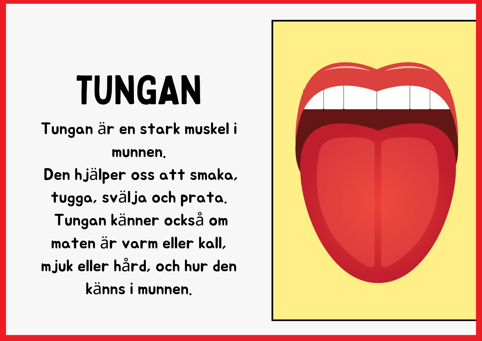 Smaksinnet - Presentation + Frågor (19 sidor)