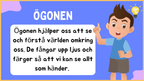Hur är ögat uppbyggt? - Årskurs 4 - 9 (15 sidor)
