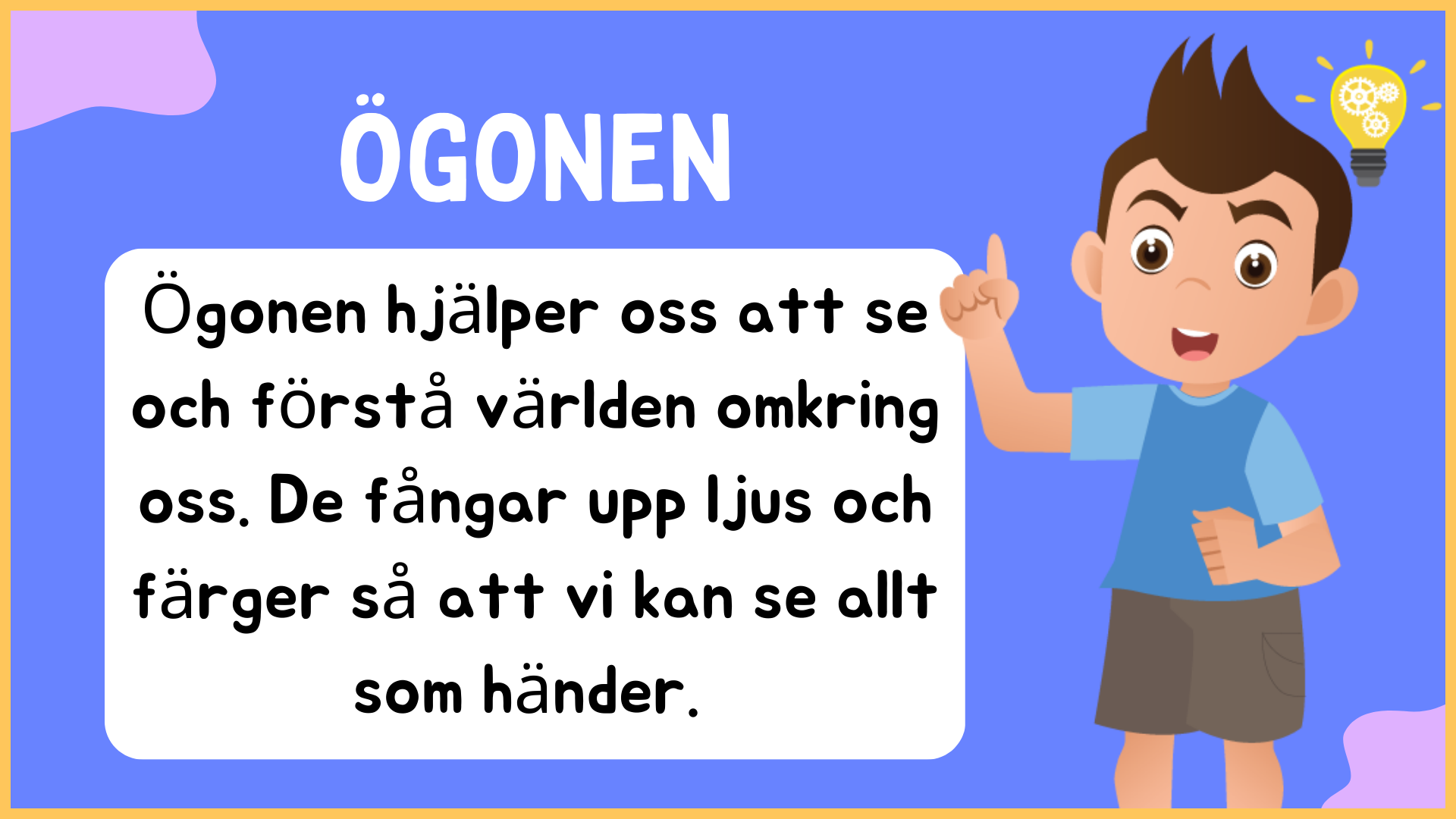 Hur är ögat uppbyggt? - Årskurs 4 - 9 (15 sidor)
