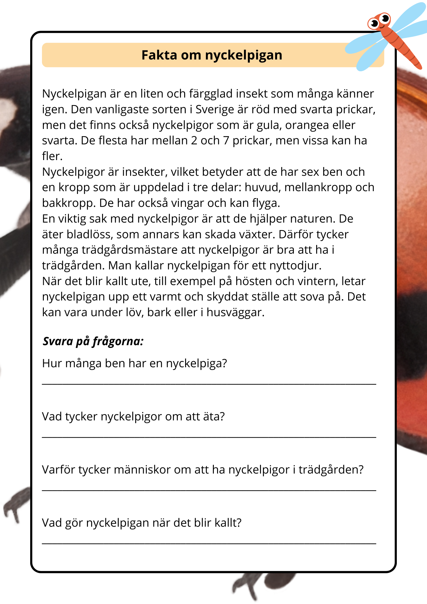 Lilla boken om viktiga insekter - Årskurs 2 - 4