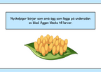 Nyckelpigans livscykel + Uppgifter - Årskurs 1 - 2