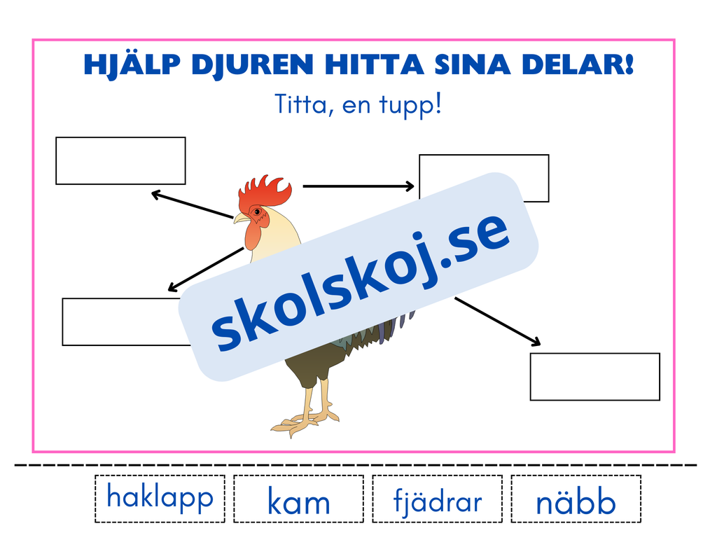 Hjälp djuren hitta sina delar - Häfte