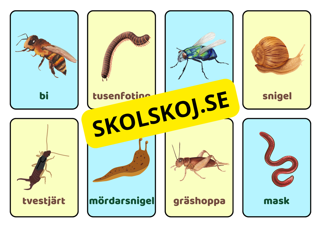 Memory - Småkryp