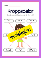 Kroppsdelar – vad heter de - Häfte