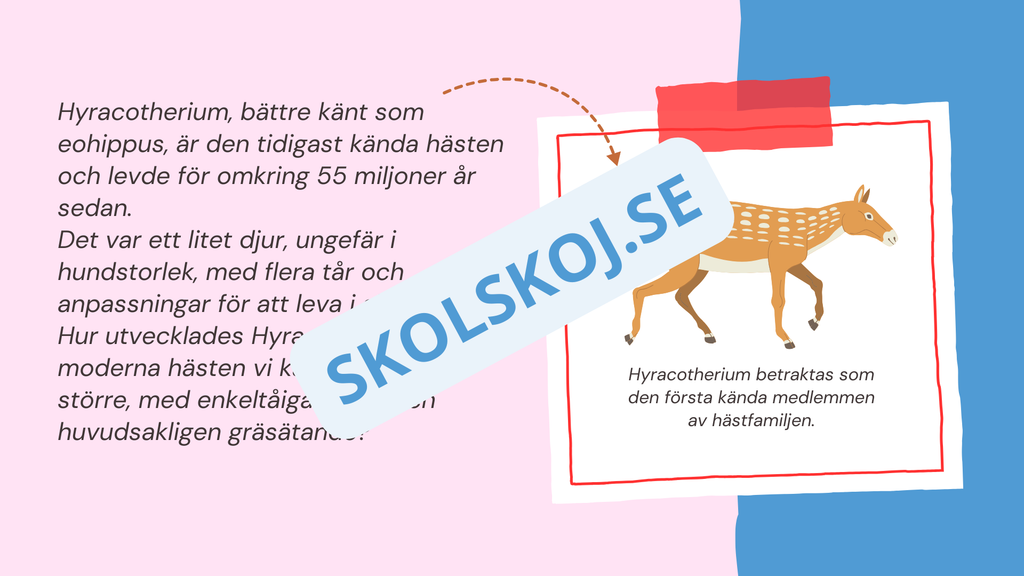 Evolution - Bevisen för hur livet förändras - Årskurs 7 - 9