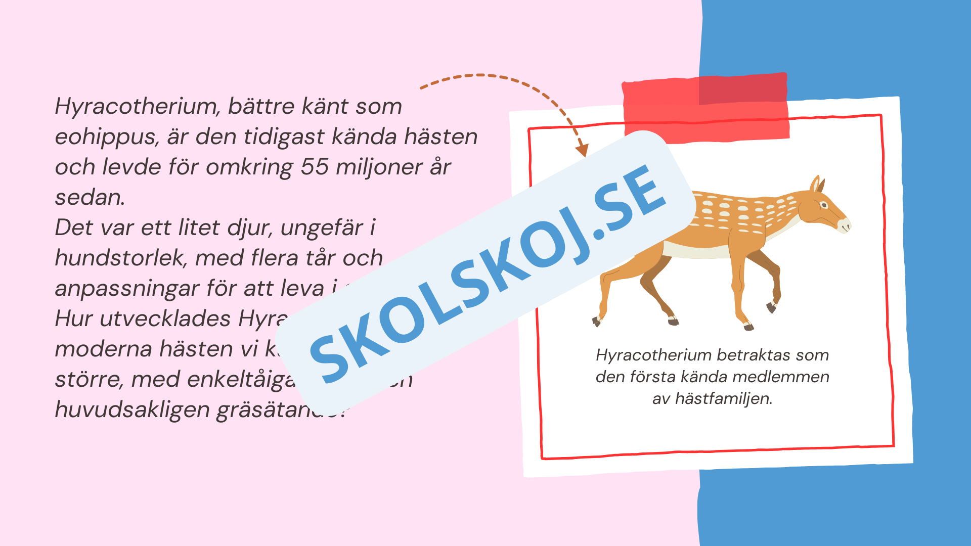 Evolution - Bevisen för hur livet förändras - Årskurs 7 - 9
