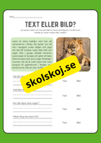 Text eller bild - Läsförståelse